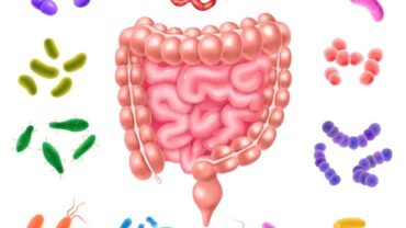 Imagen de una microbiota intestinal.